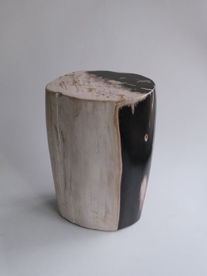 Stool #041