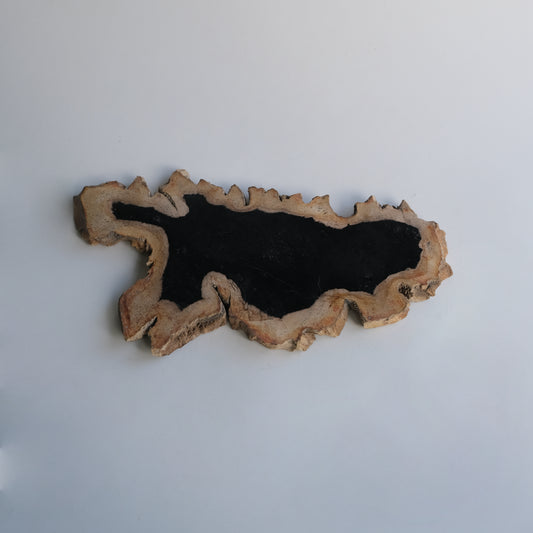 Wood Plate Medium #001