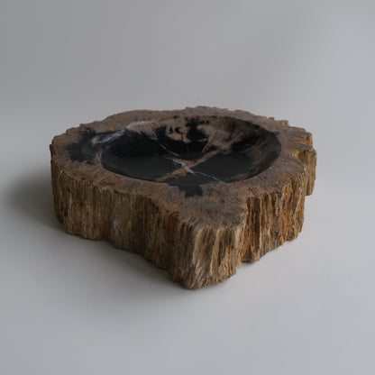 Accessory Tray #021