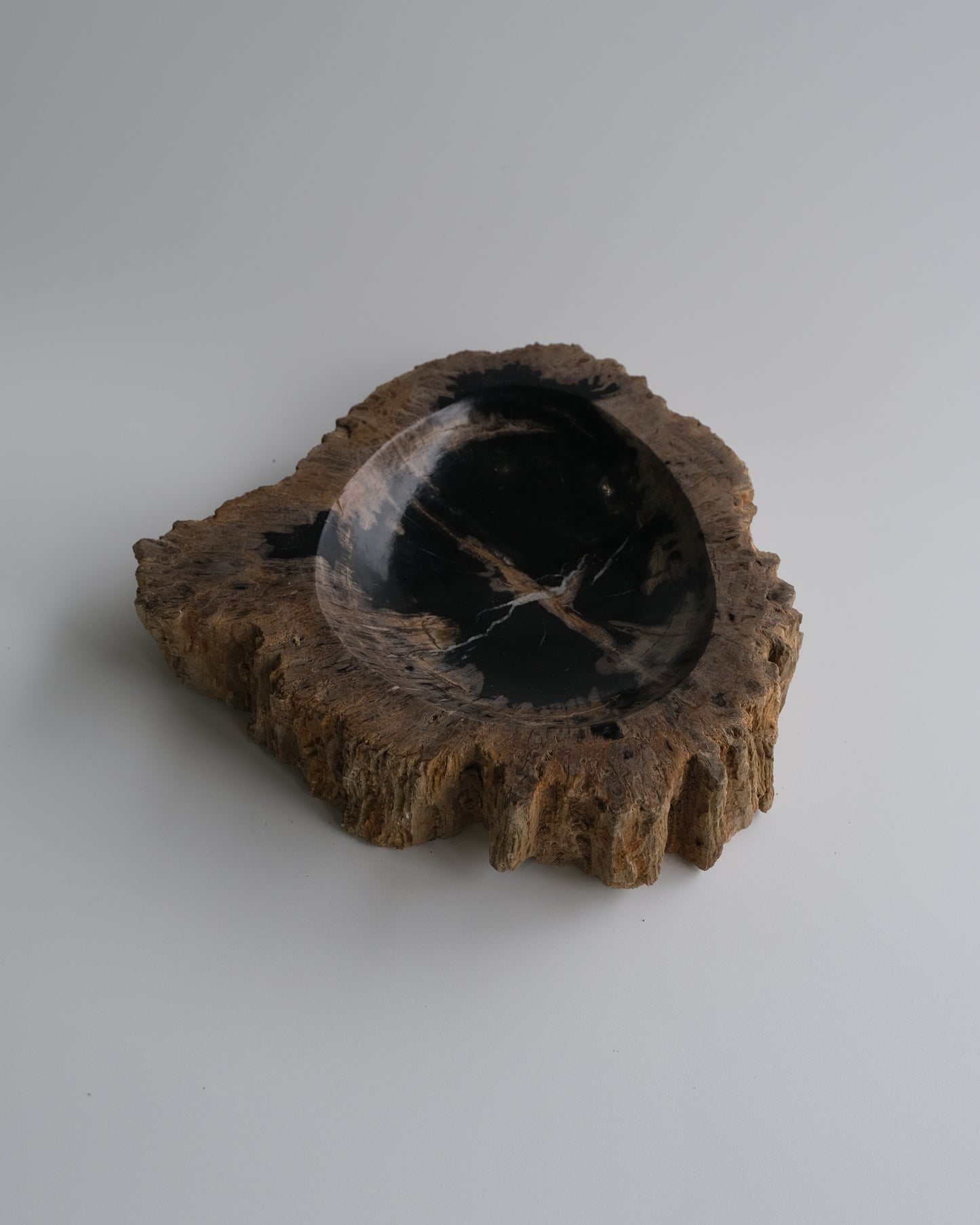 Accessory Tray #021