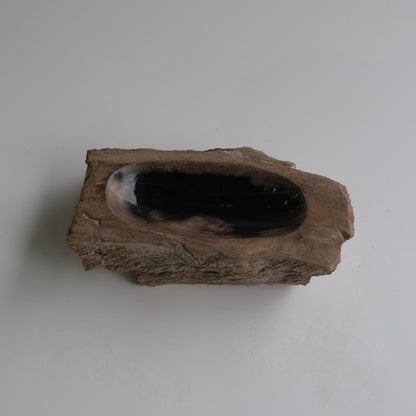 Accessory Tray #033