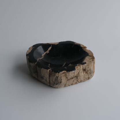 Accessory Tray #009
