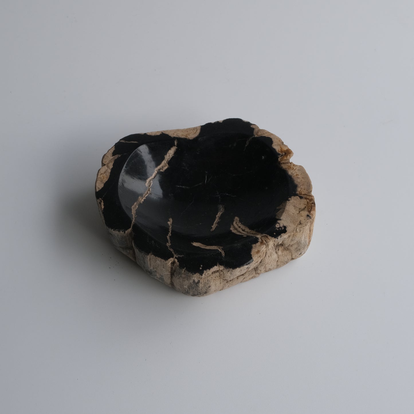 Accessory Tray #009