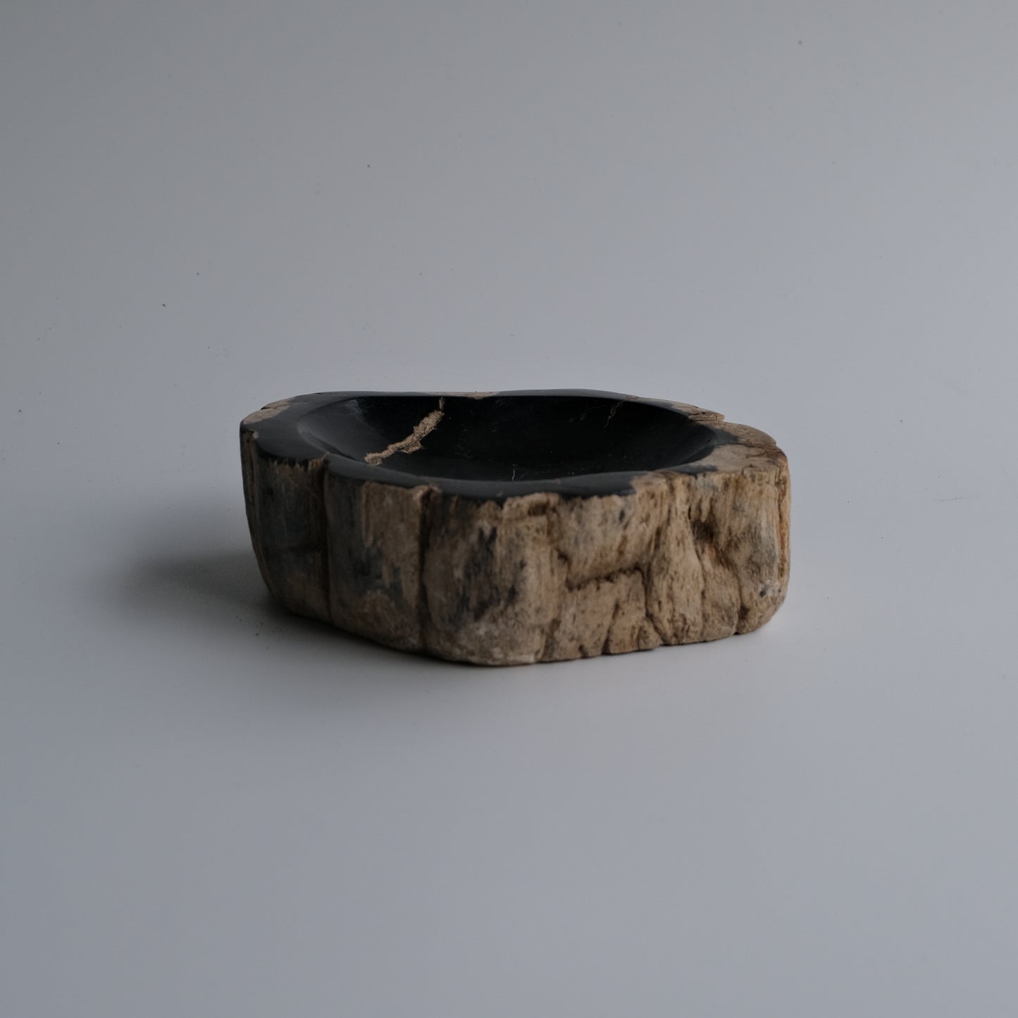 Accessory Tray #009