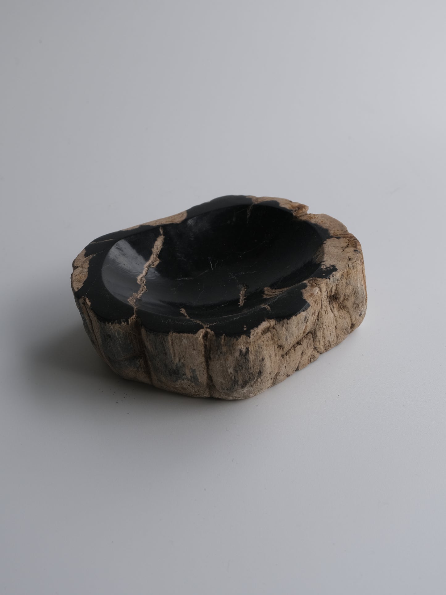Accessory Tray #009