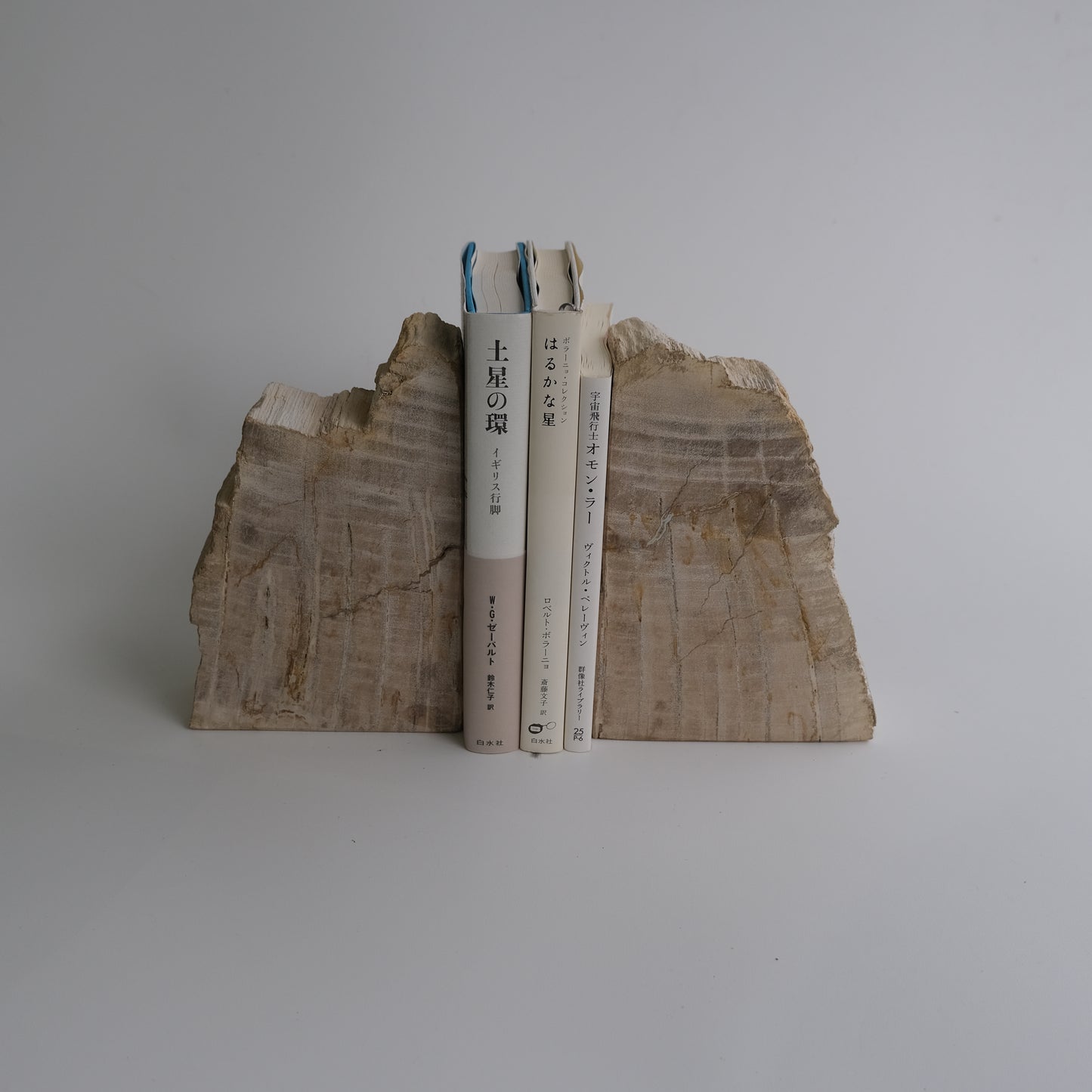 Book End #113