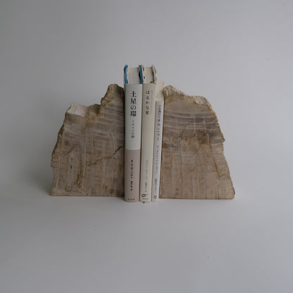 Book End #113