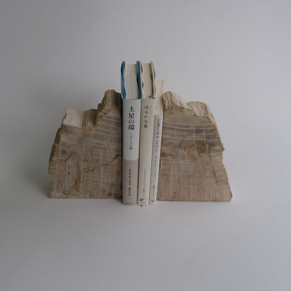 Book End #113