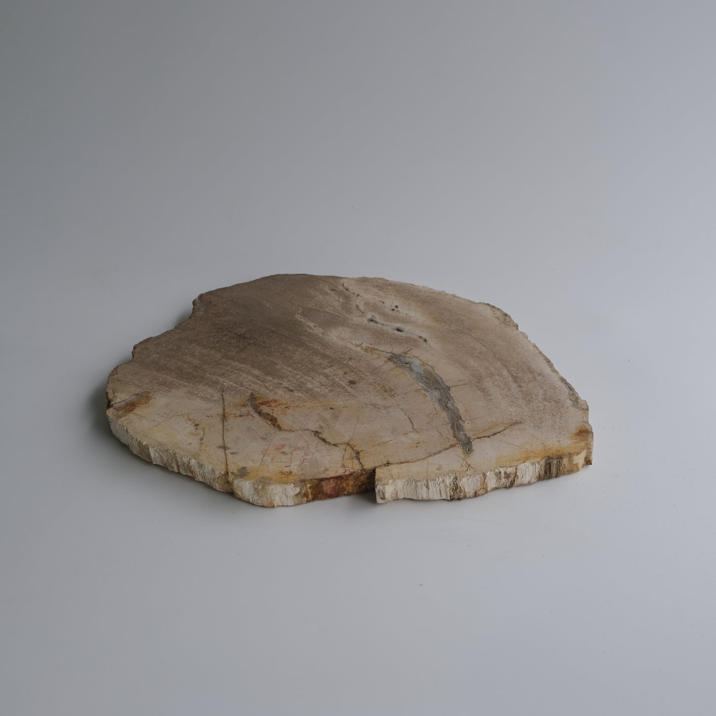 Wood Plate #022