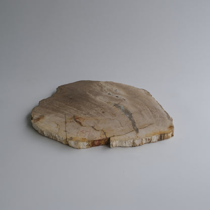 Wood Plate #022