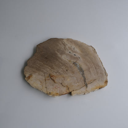 Wood Plate #022