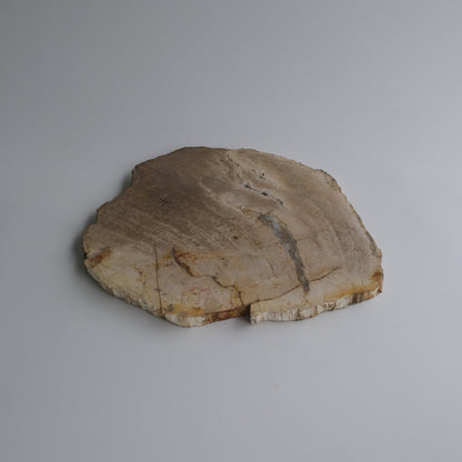 Wood Plate #022