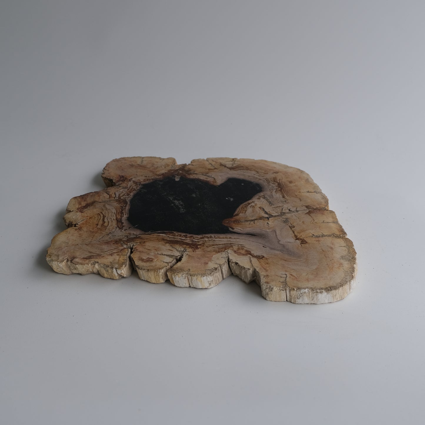 Wood Plate Medium #004