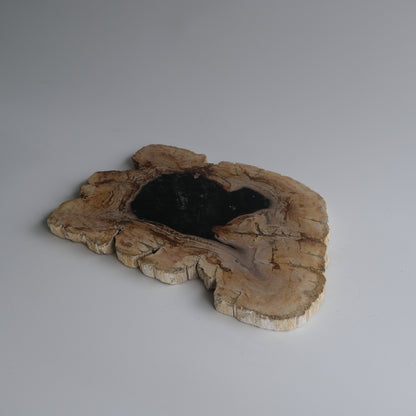 Wood Plate Medium #004