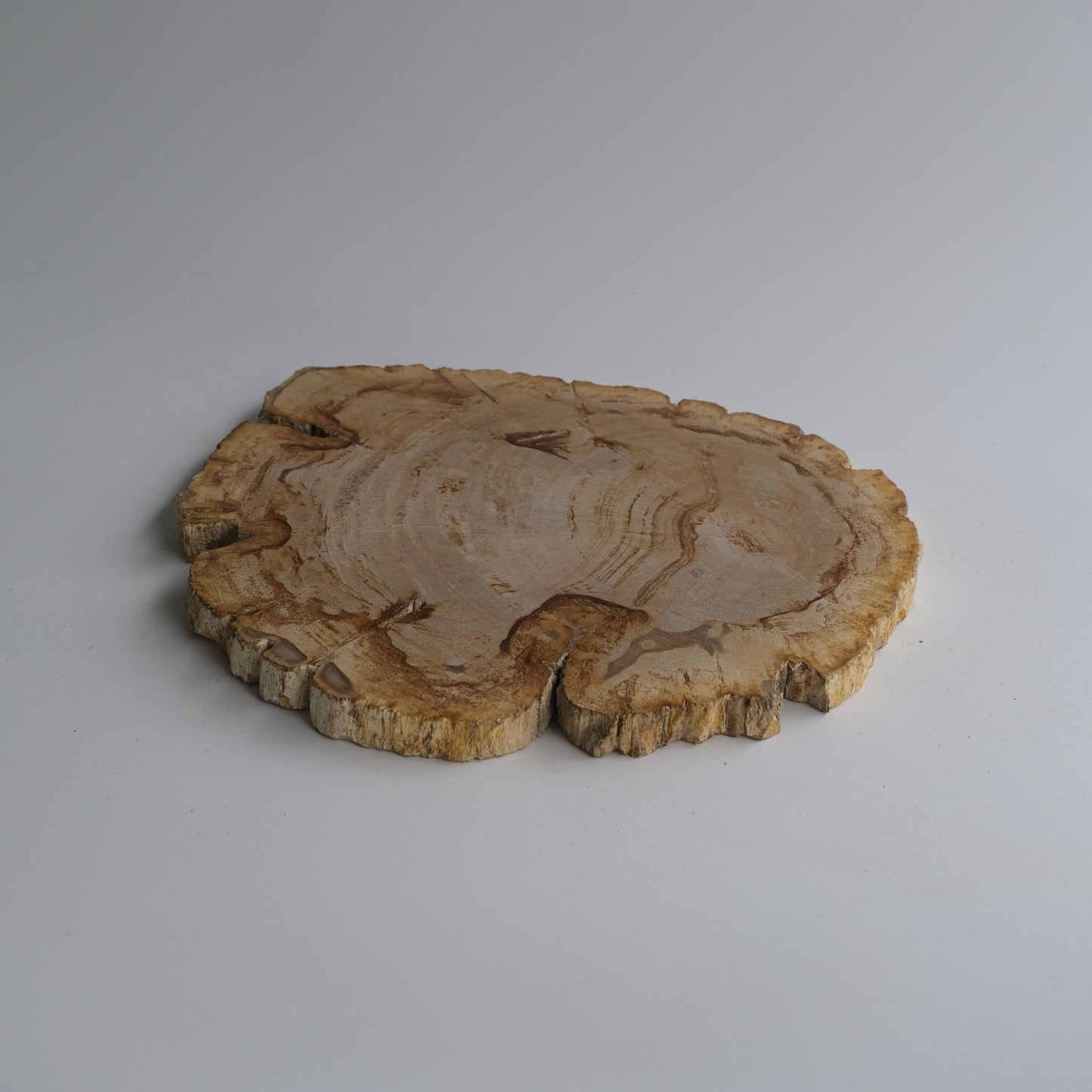 Wood Plate Medium #005