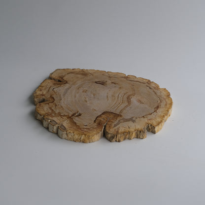 Wood Plate Medium #005