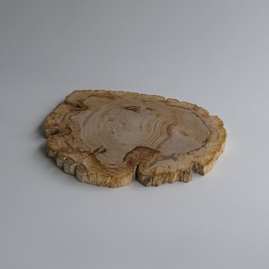Wood Plate Medium #005