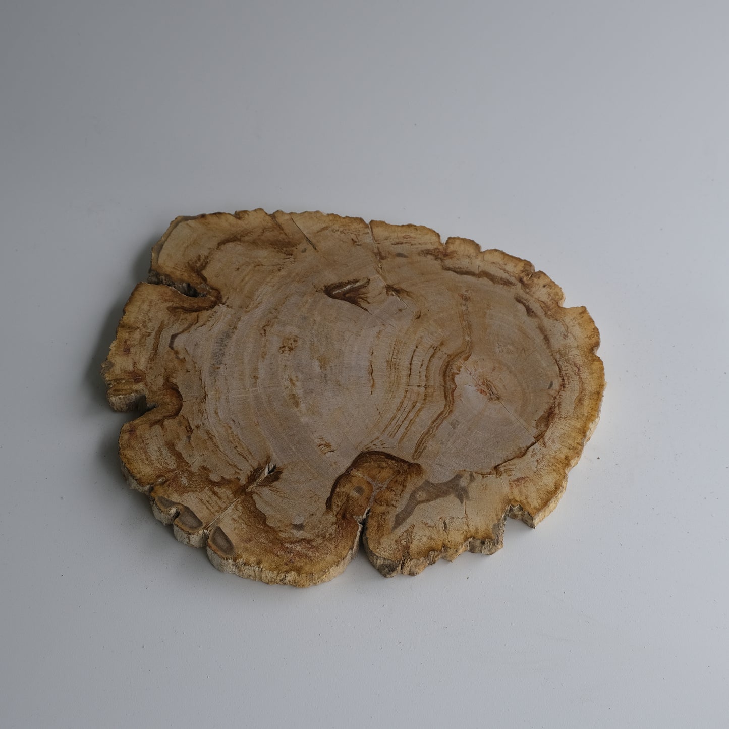 Wood Plate Medium #005