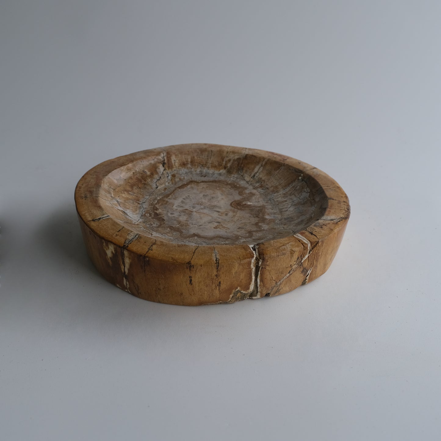 Accessory Tray #017