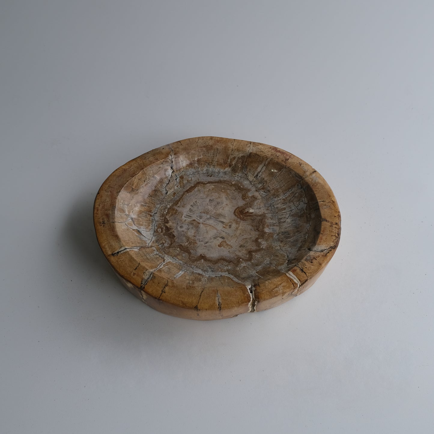 Accessory Tray #017