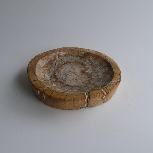 Accessory Tray #017