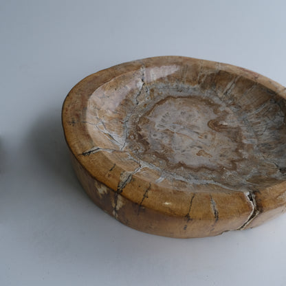 Accessory Tray #017