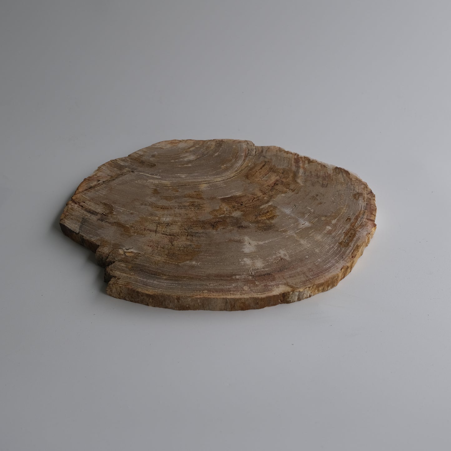 Wood Plate #025