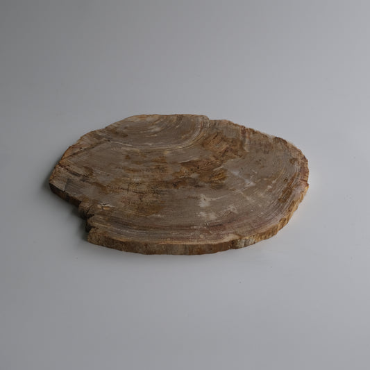 Wood Plate #025