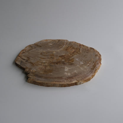 Wood Plate #025