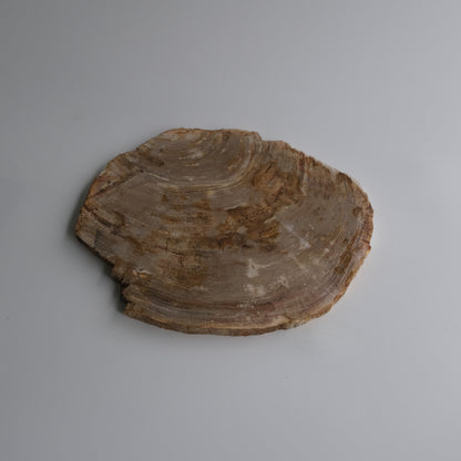 Wood Plate #025