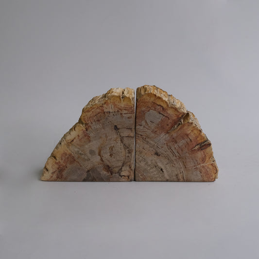 Book End #101