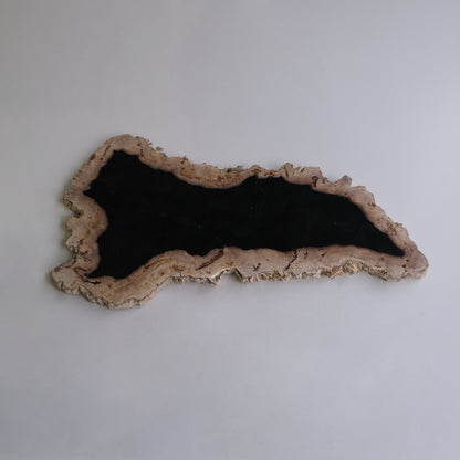Wood Plate #037