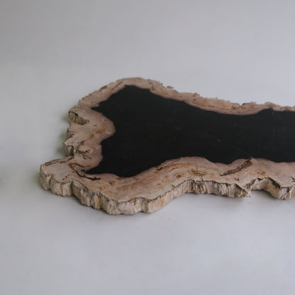 Wood Plate #037