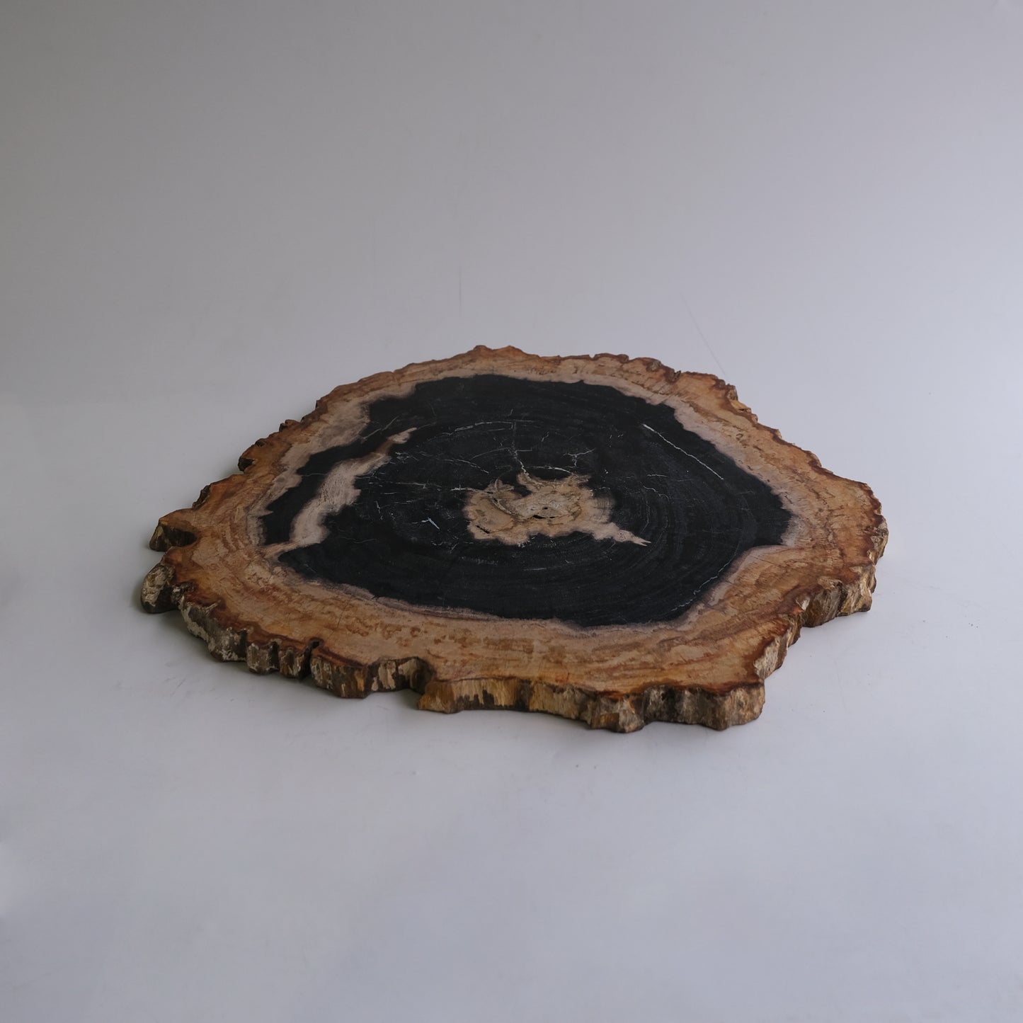 Wood Plate #005