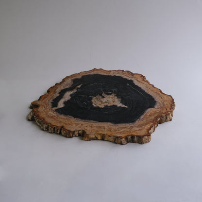 Wood Plate #005
