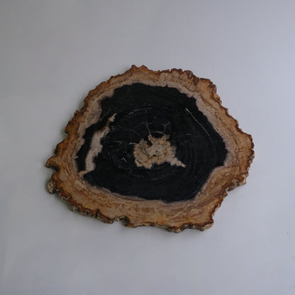 Wood Plate #005