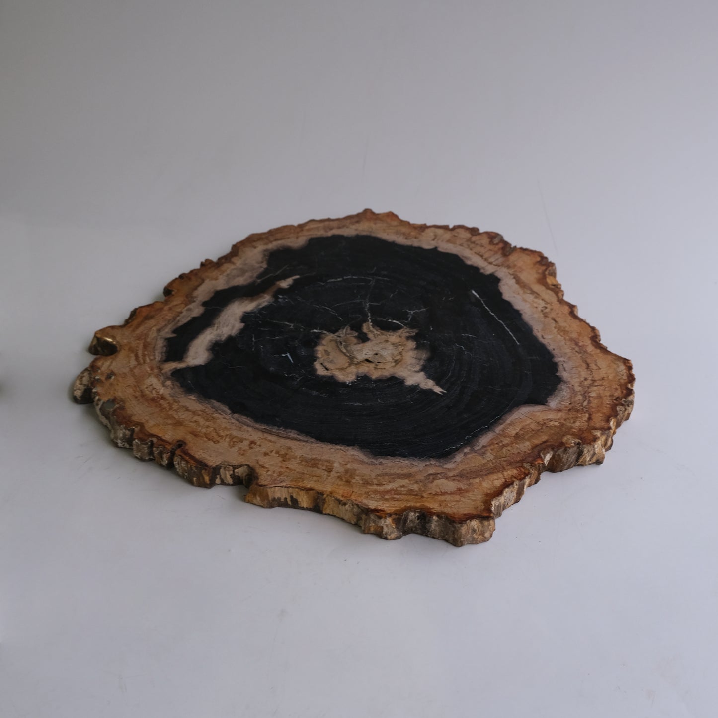 Wood Plate #005