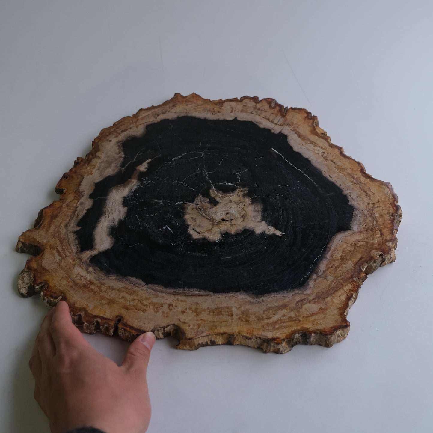Wood Plate #005