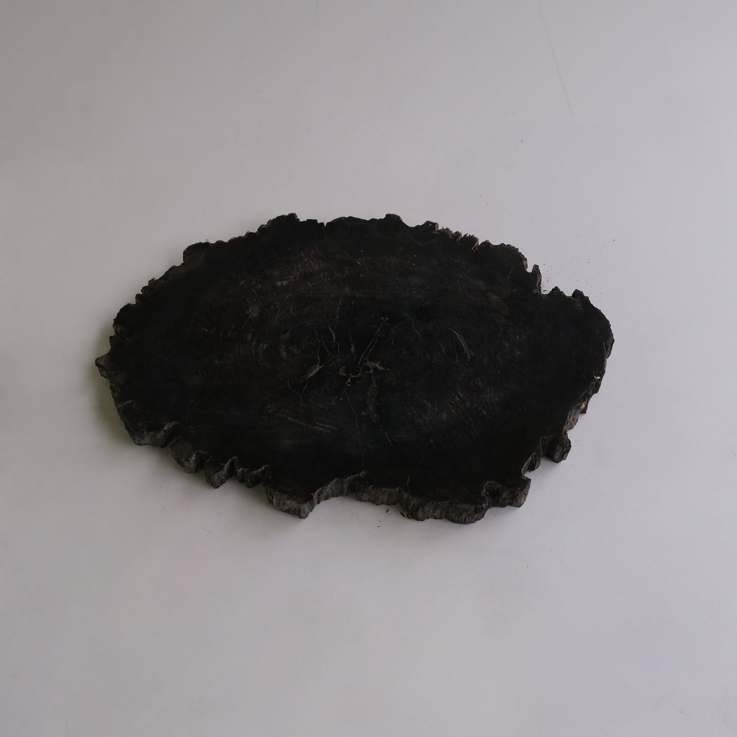Wood Plate #016