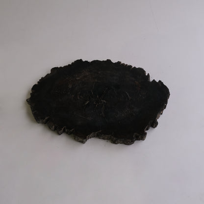 Wood Plate #016