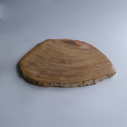 Wood Plate #019