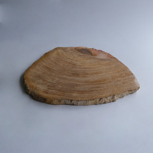Wood Plate #019