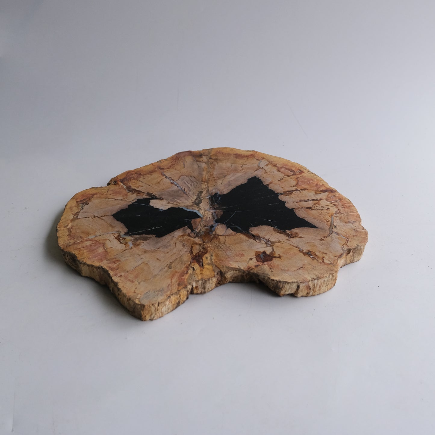 Wood Plate #038