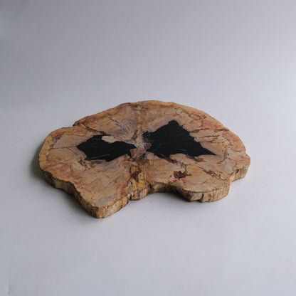 Wood Plate #038