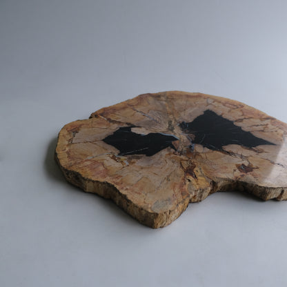 Wood Plate #038