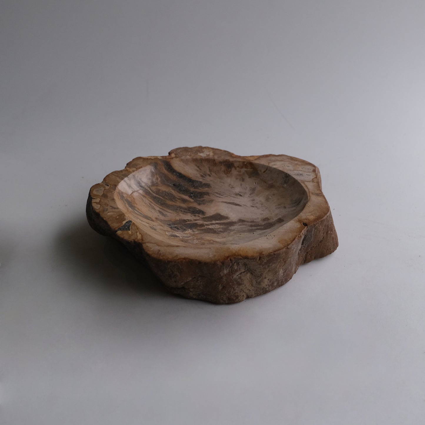Accessory Tray #002