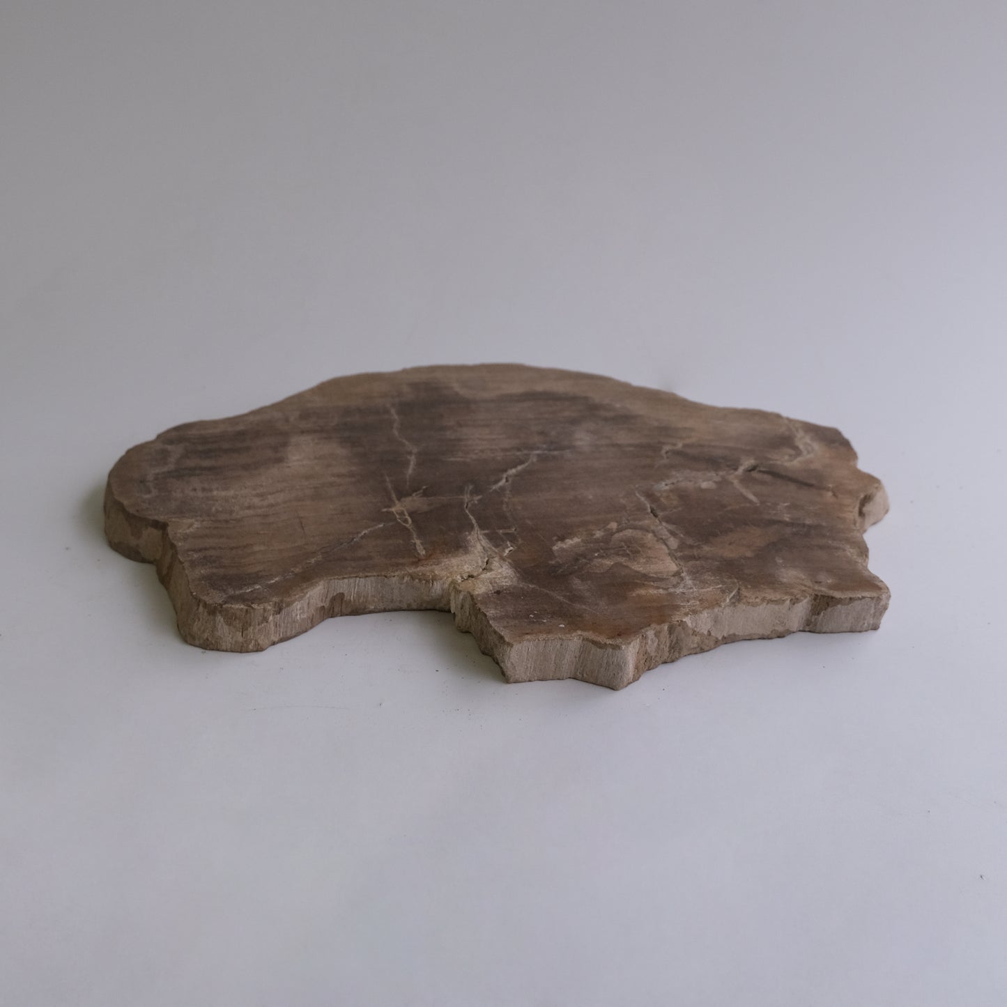 Wood Plate Medium #017
