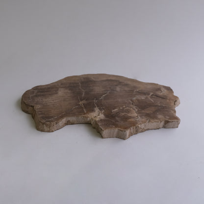 Wood Plate Medium #017