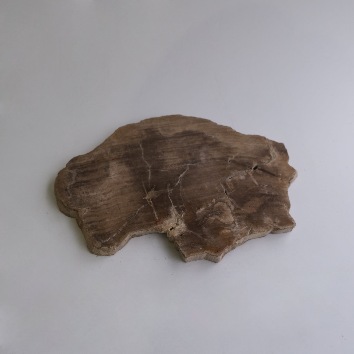 Wood Plate Medium #017