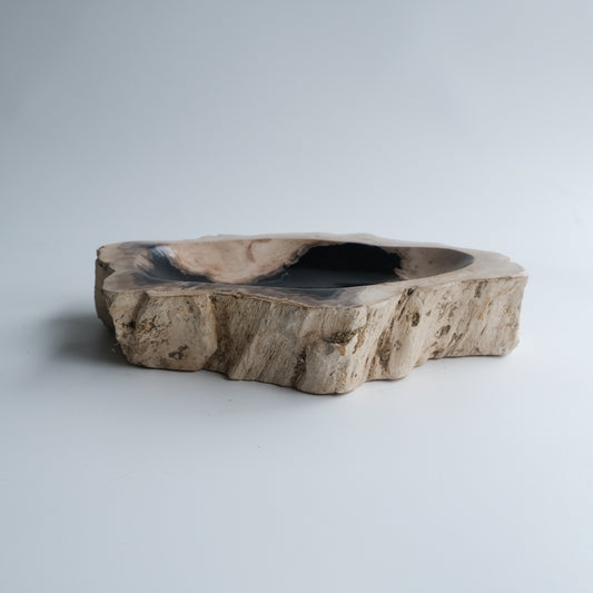 Accessory Tray #022